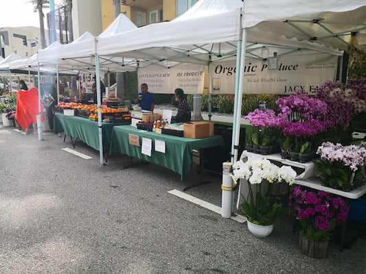 [EVERY SAT] Playa Vista Farmers' Market