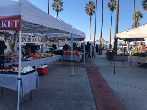 [EVERY SUN] Newport Beach Farmers' Market