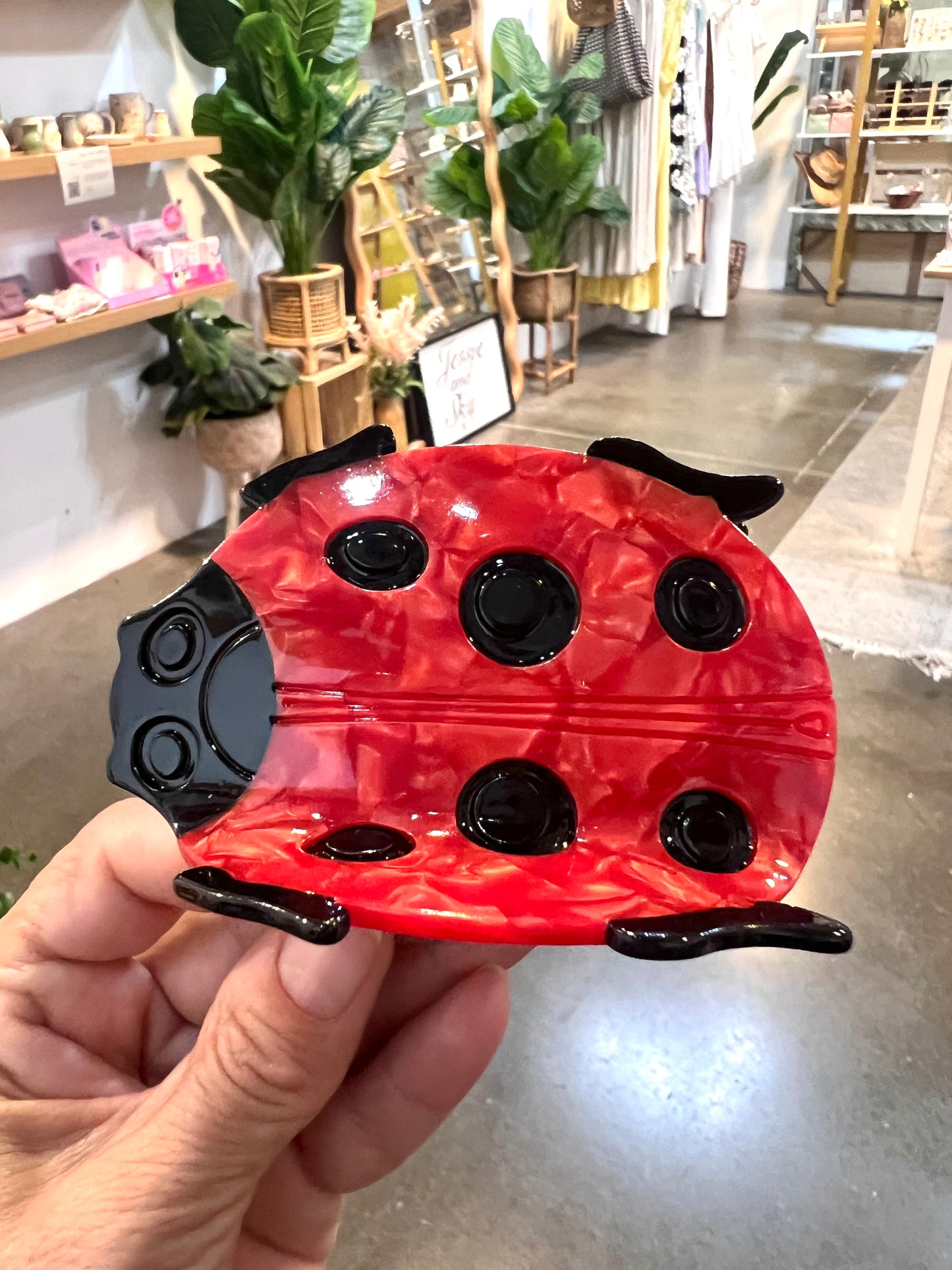 Ladybug Clips