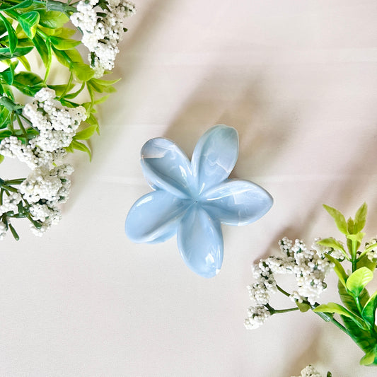 Plumeria (Pastel) Clip