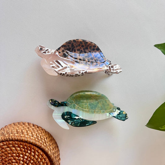 Sea Turtle Clip