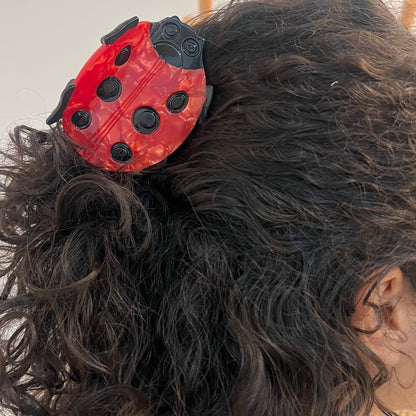 Ladybug Clips