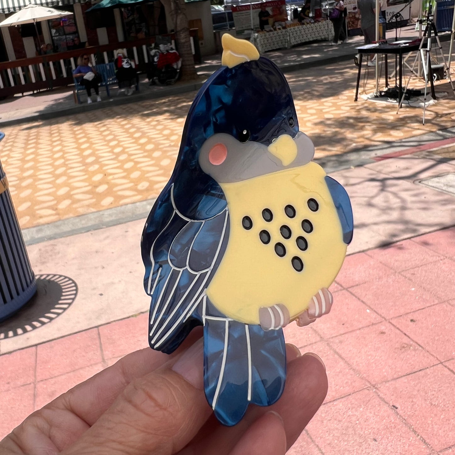 Bird Clips