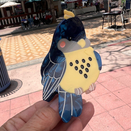 Bird Clips