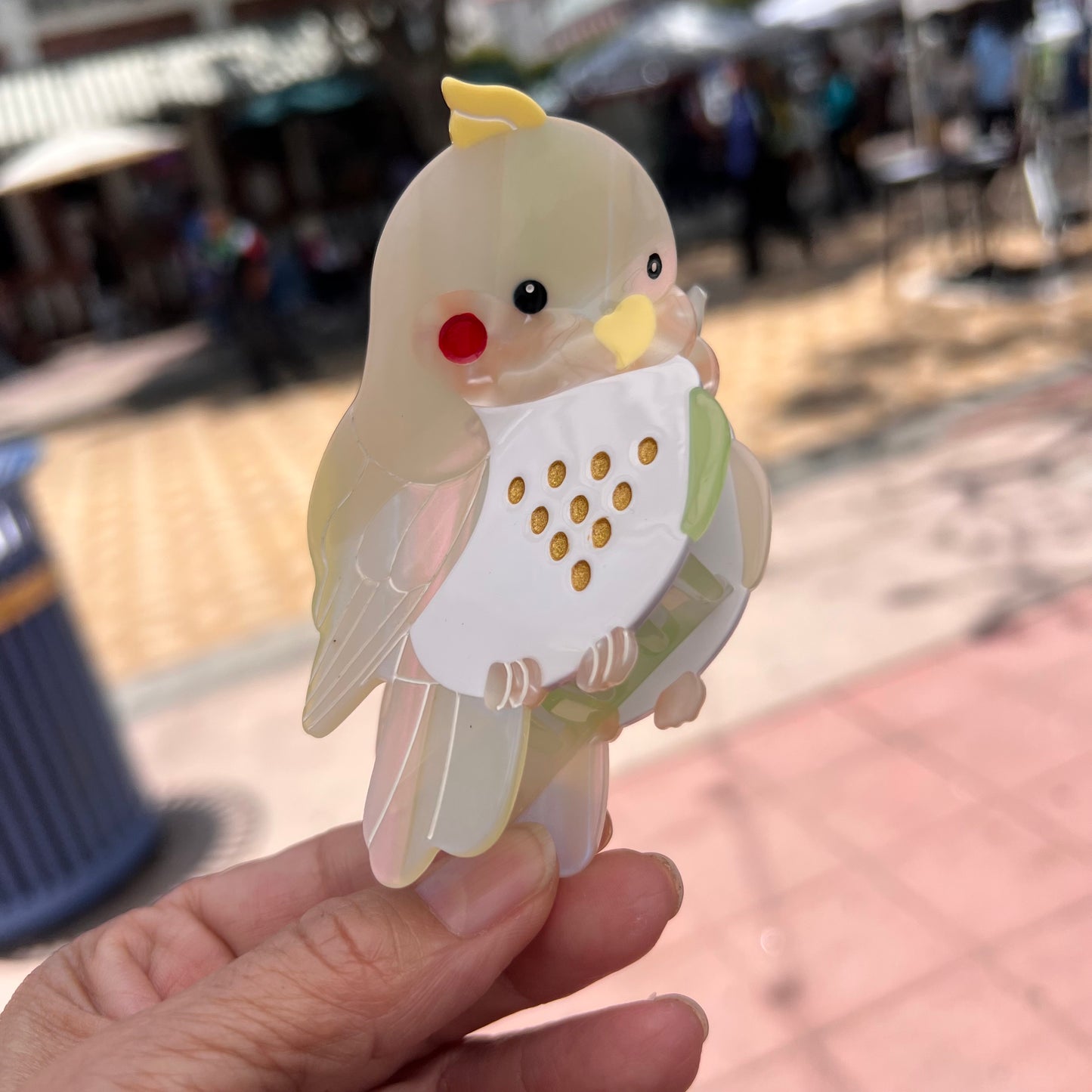 Bird Clips
